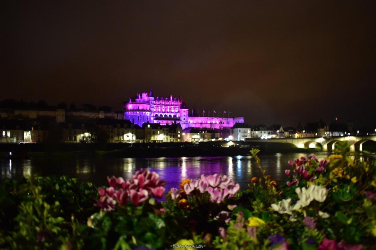 Les Studios De Soizick Amboise Exteriör bild